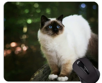 Herné Podložka pod Myš Vlastné,Himalájske Mačka zvierat defocused cat Home Office Príslušenstvo k Počítačom Mousepads